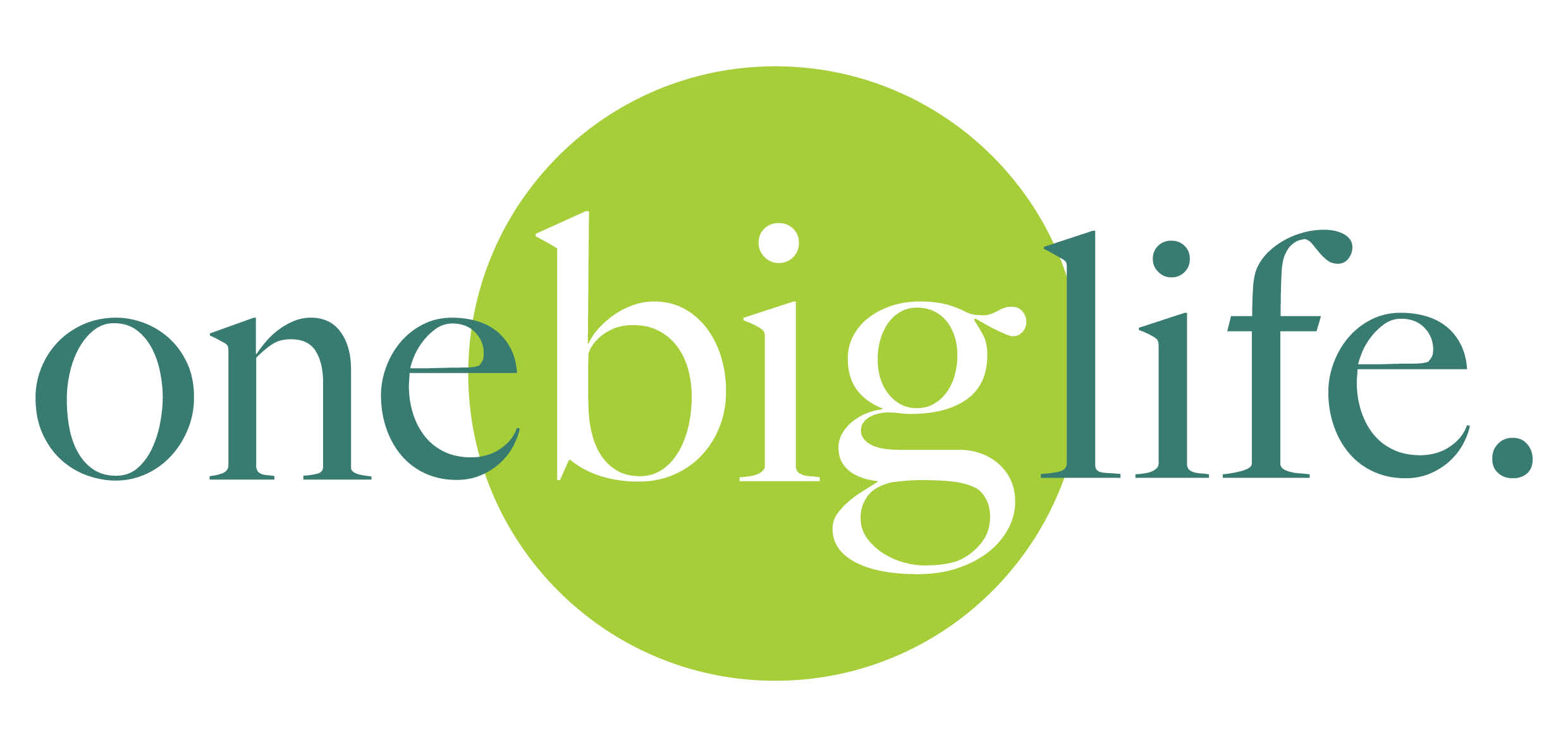 One Big Life Counselling